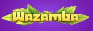 Blaze significado